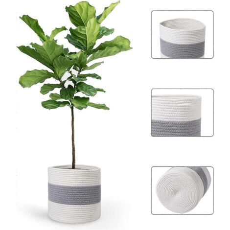 Panier à plantes en corde de coton pour plantes en pot de 25 cm, panier de rangement tressé