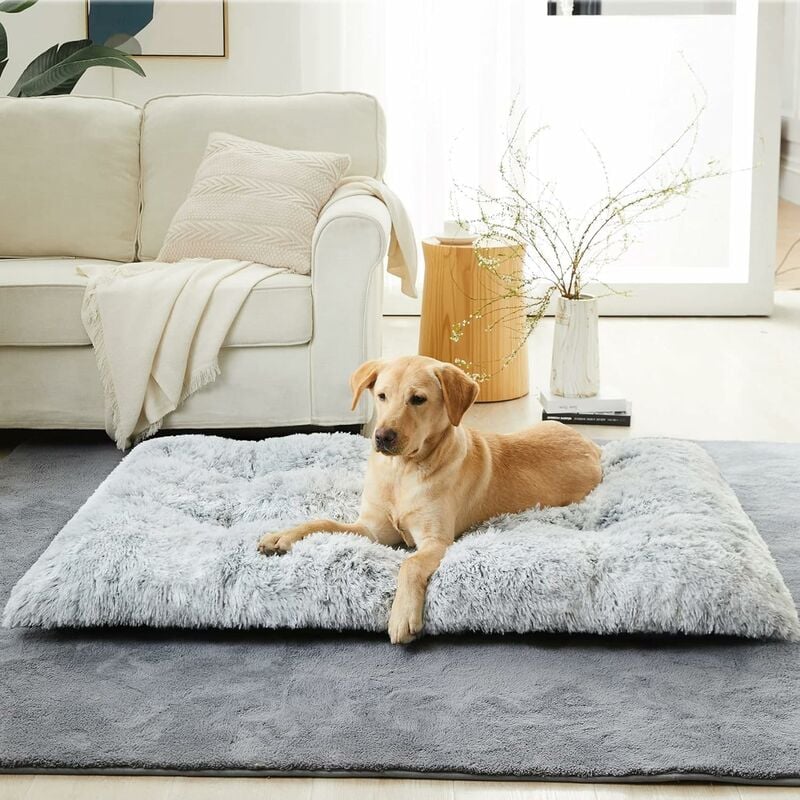 Panier Chien Grand Taille Coussin Chien Anti Stress Lavable et Antidérapant Moelleux Lit pour Chien Peluch, Gris Claire 110x75x15cm