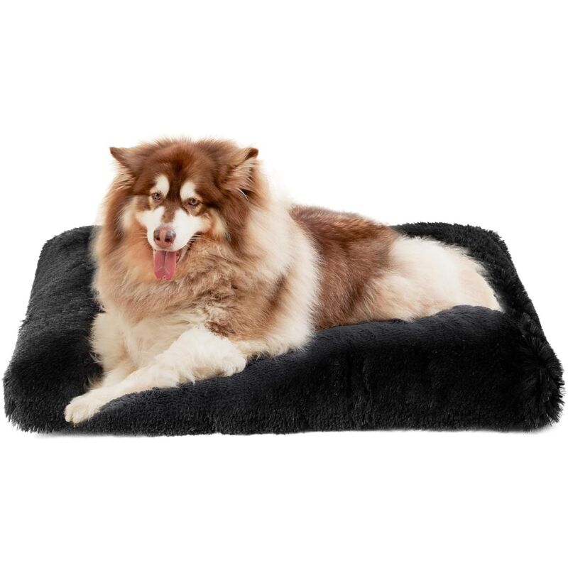 Panier Chien Grande Taille xxl 110x75cm, Moelleux Lit pour Chien Peluche, Noir