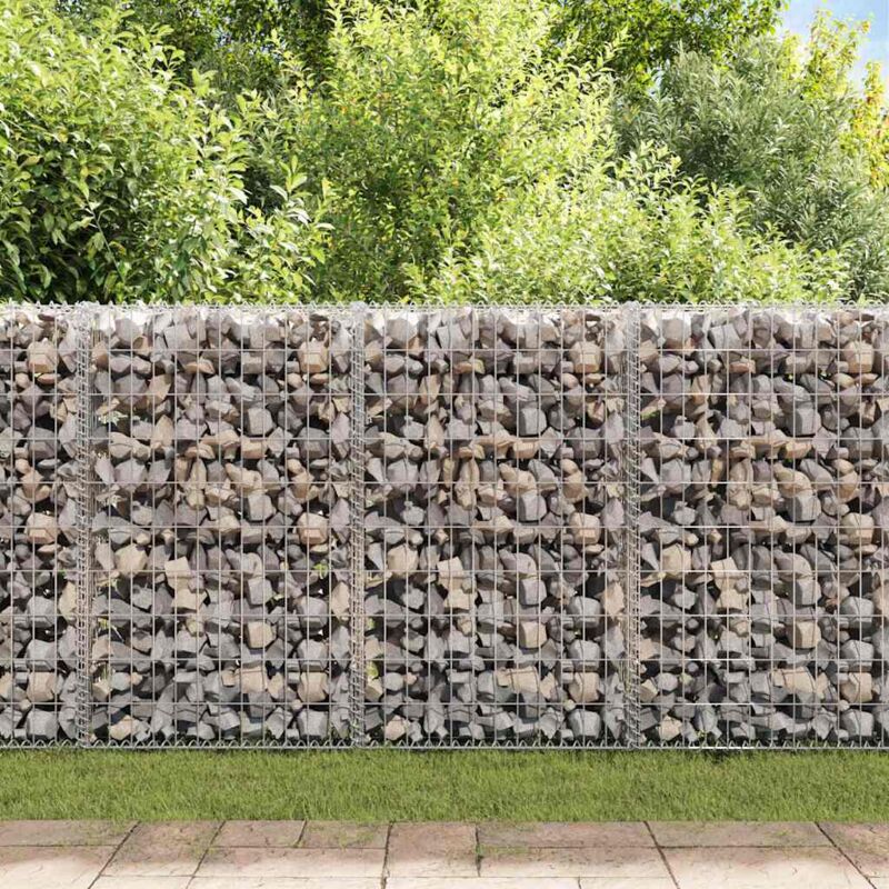Panier de gabion Acier galvanisé 200x30x100 cm