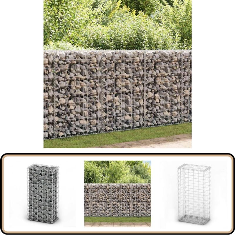 Panier de gabion avec couvercle Fil galvanisé 100x50x30 cm - Panier Gabion - Clôture Gabion - Mur Gabion - Décoration Jardin - Aménagement Extérieur