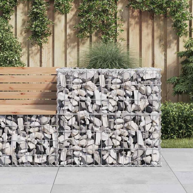 Vidaxl - Panier de gabions argenté 70x70x65 cm fer galvanisé