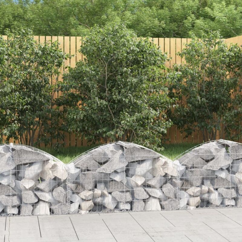 Vidaxl - Panier de gabions arqué 100x30x40/60 cm Fer galvanisé