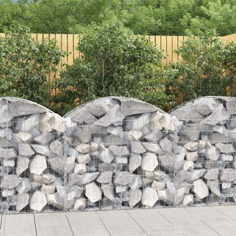 Panier de gabions arqué 100x50x80/100 cm Fer galvanisé Vidaxl