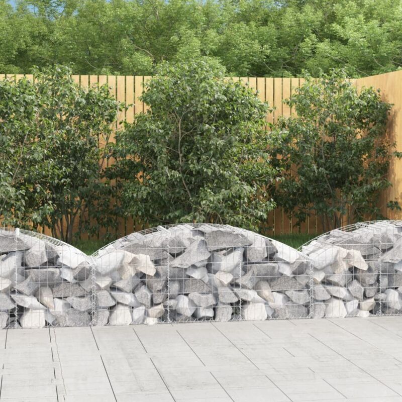 Vidaxl - Panier de gabions arqué 150x50x40/60 cm Fer galvanisé