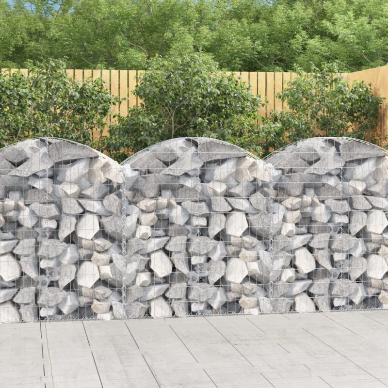 Vidaxl - Panier de gabions arqué 100x50x100/120 cm Fer galvanisé