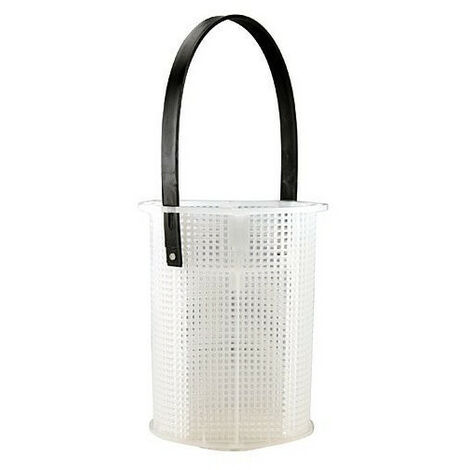 Panier de pompe piscine challenger R355318 - PENTAIR