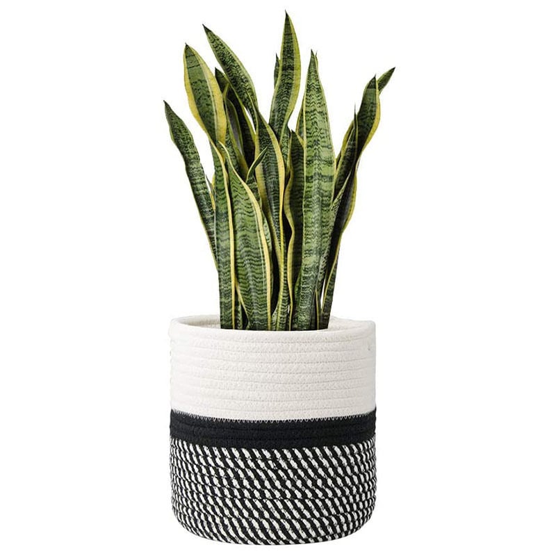 Alovez - Panier en coton tissé, panier en corde de coton tissé pour plantes pour la décoration de pots de fleurs d'intérieur