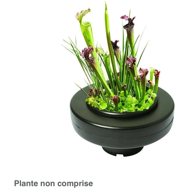 Le Poisson Qui Jardine - Panier flottant 30 cm de diamètre pour plantes de bassins de jardin et étangs
