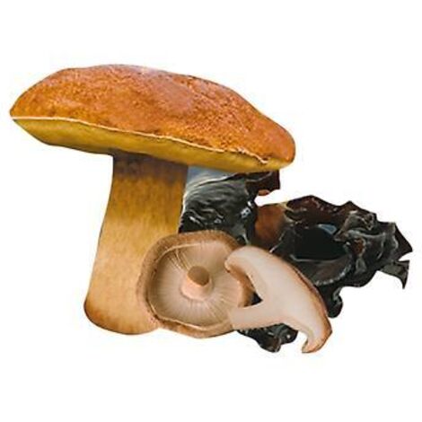 PANIER FORESTIER - BOCAL DE 180 G - GRAINES DE LEGUMES