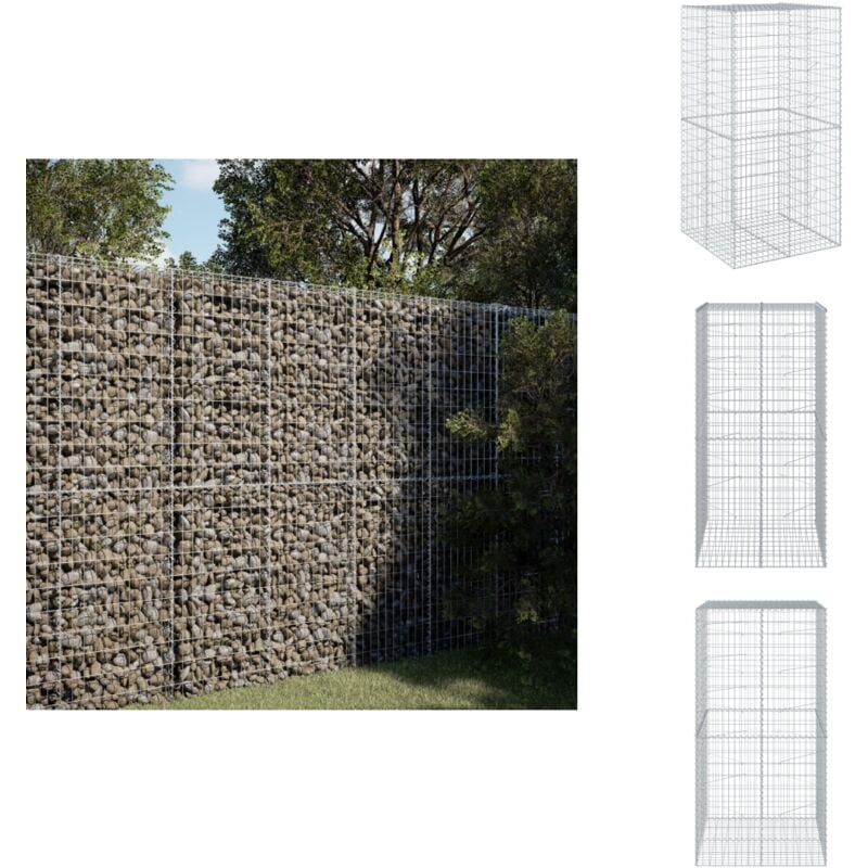 Panier gabion avec couvercle 100x100x200 cm fer galvanisé - Panier Gabion - Paniers Gabion - Mur En Gabion - Gabion