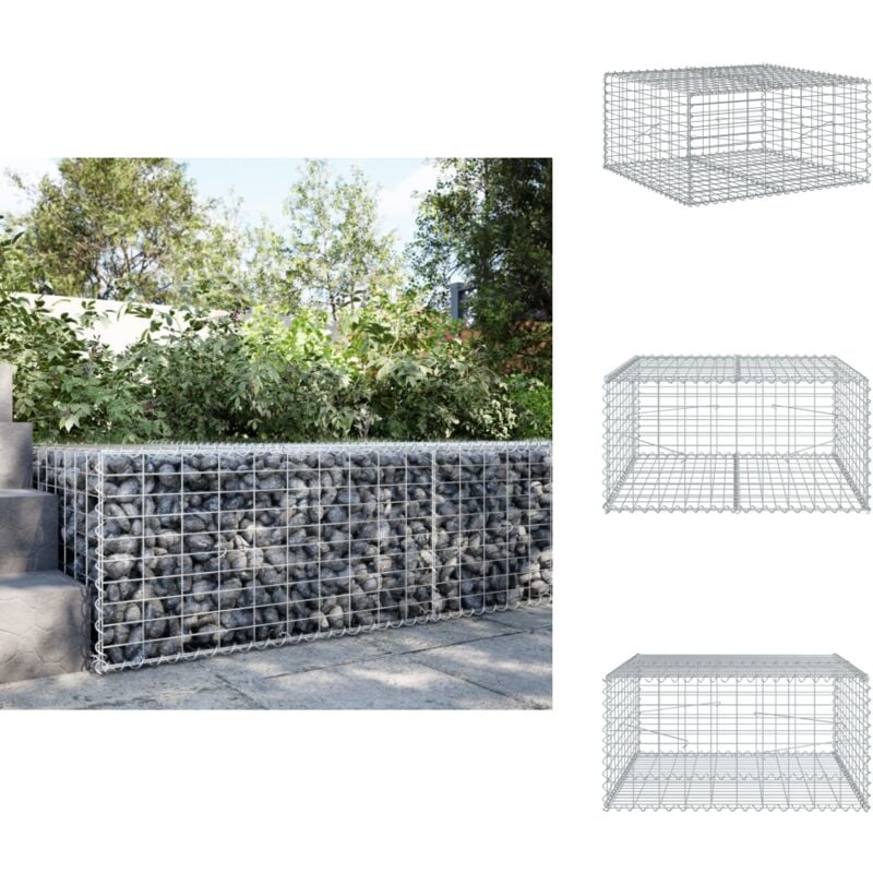 Panier gabion avec couvercle 100x100x50 cm fer galvanisé - Panier Gabion - Paniers Gabion - Mur En Gabion - Gabion