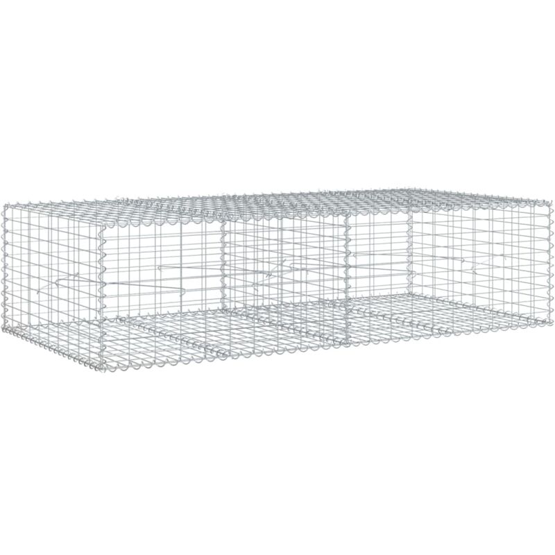 Vidaxl - Panier gabion avec couvercle 200x100x50 cm fer galvanisé