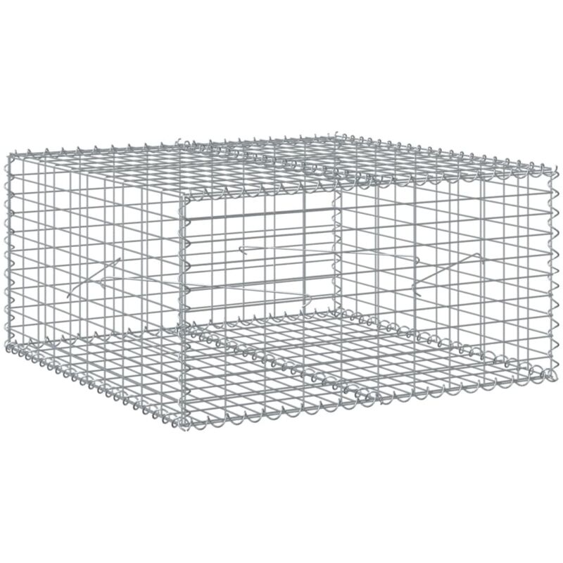 vidaXL Panier gabion avec couvercle 100x100x50 cm fer galvanisé