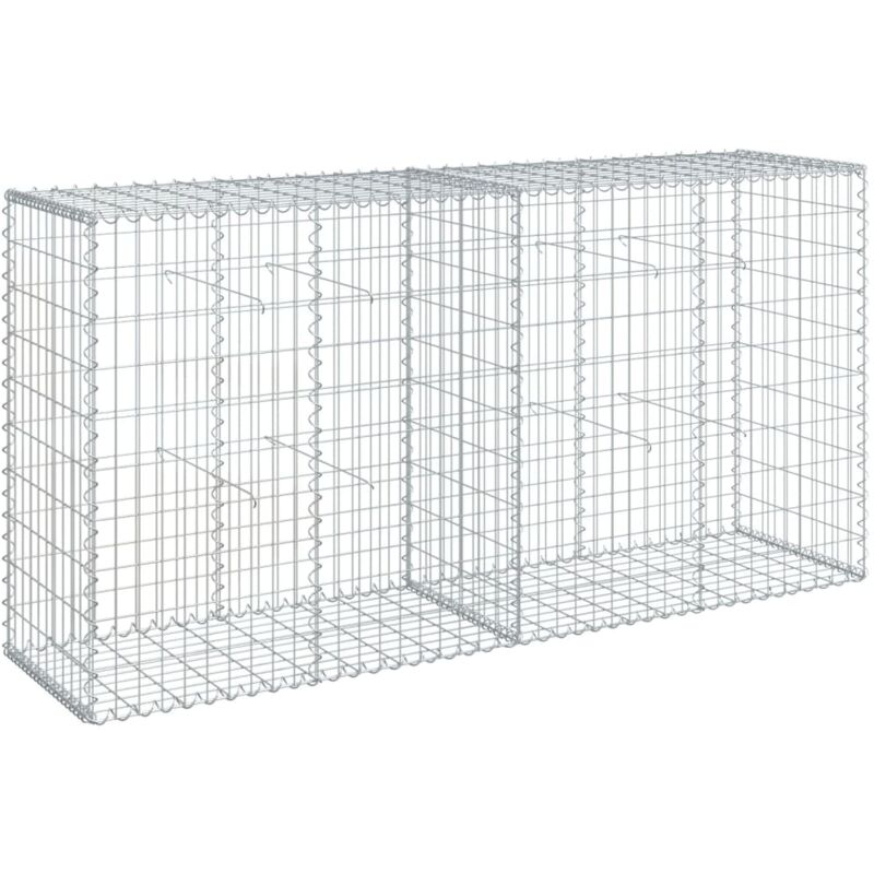 Panier gabion avec couvercle 200x50x100 cm fer galvanisé