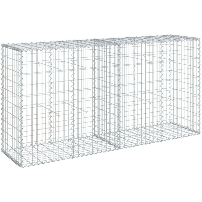 Panier gabion clôture cage mur de soutènement avec couvercle 200 x 50 x 100 cm fer galvanisé Argent