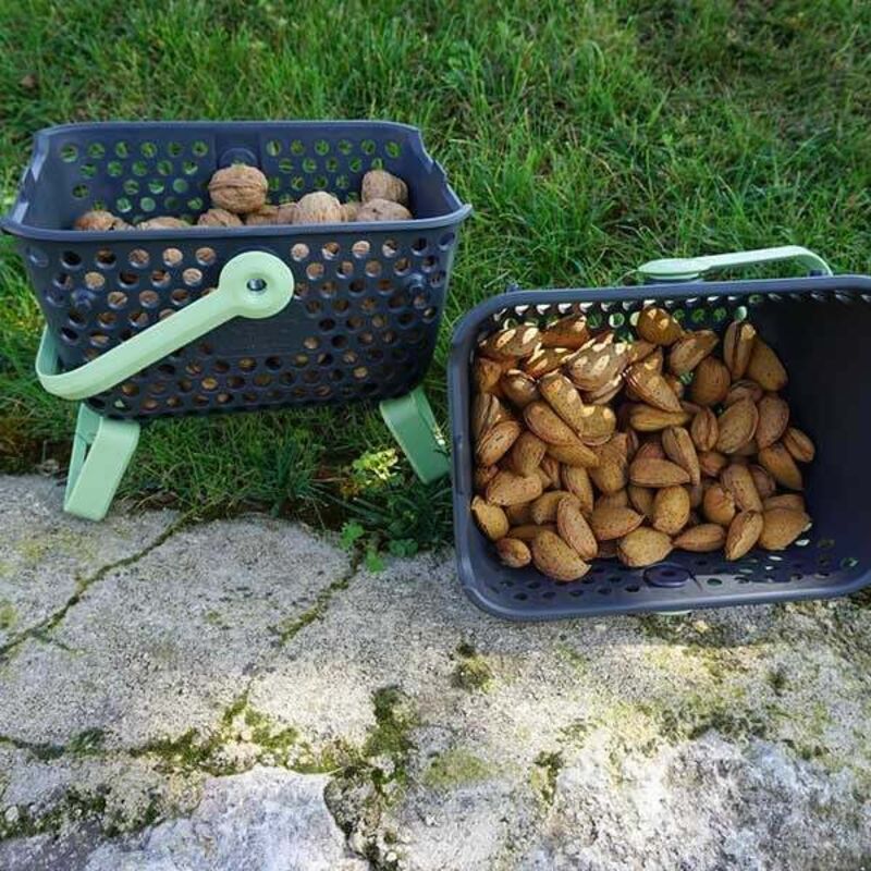 Panier Lot de 2 paniers Kajo 4L Gris / Tilleul