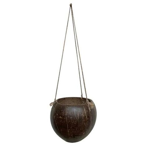 Panier suspendu créatif en coquille de noix de coco, Pot de fleur suspendu au mur, plantes succulentes, bassin suspendu, décoration de maison, jardin, balcon,République tchèque,A