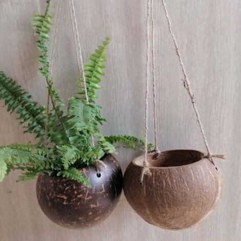 Panier suspendu créatif en coquille de noix de coco, Pot de fleur suspendu au mur, plantes succulentes, bassin suspendu, Vase de mariage, décoration de balcon,états-unis