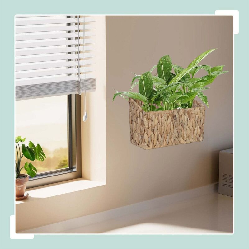 Panier suspendu pour plante jacinthe deau naturelle impermeable
