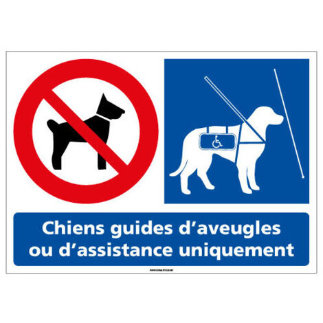 Panneau Chiens interdits sauf Chiens guides d’aveugles – Signalisation adhésive 105 x 75 mm
