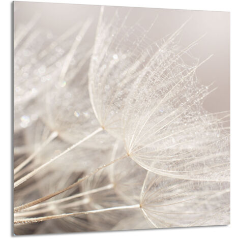 PANNEAU DE VERRE POUR CUISINE 60x65 Fleur