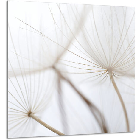 PANNEAU DE VERRE POUR CUISINE 60x65 Fleur