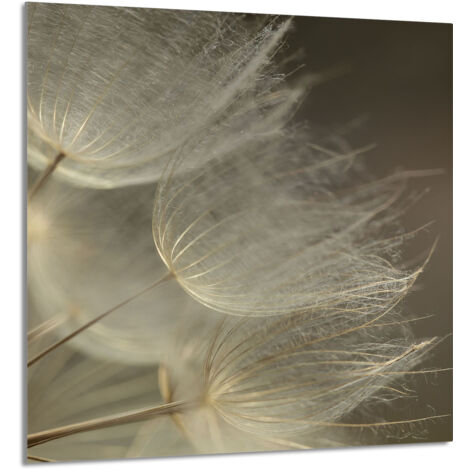 PANNEAU DE VERRE POUR CUISINE 60x65 Fleur