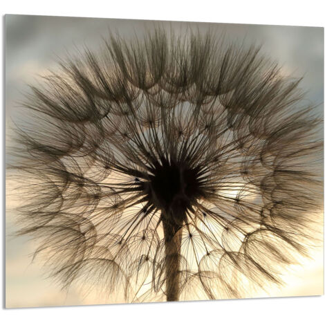 PANNEAU DE VERRE POUR CUISINE 65x60 Fleur