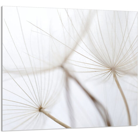 PANNEAU DE VERRE POUR CUISINE 65x60 Fleur
