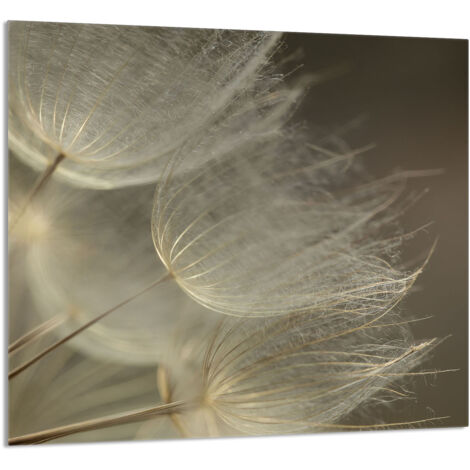 PANNEAU DE VERRE POUR CUISINE 65x60 Fleur