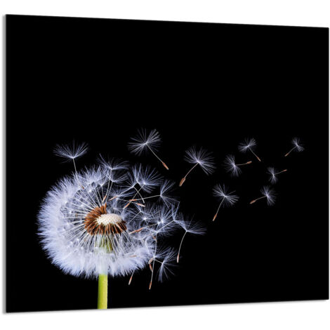 PANNEAU DE VERRE POUR CUISINE 65x60 Fleur