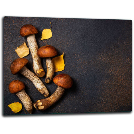 Panneau  hachage en verre 52x40 champignons