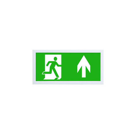 Panneau issue de secours RS PRO, Sortie de secours en haut "None", Acrylique, Acier , 390 x 190 x 27.5mm ( Prix pour 1 )