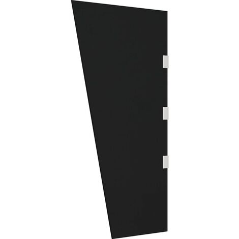 Panneau latéral d'auvent de porte Noir 50x100 cm Verre trempé