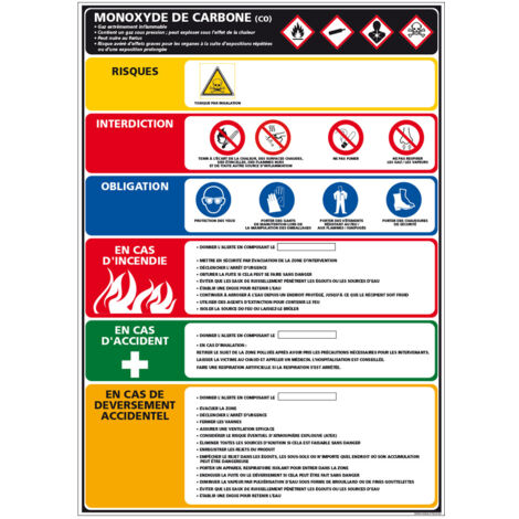 Panneau MONOXYDE DE CARBONE (C1519) - Plastique PVC 1,5 mm - 300 x 420 mm