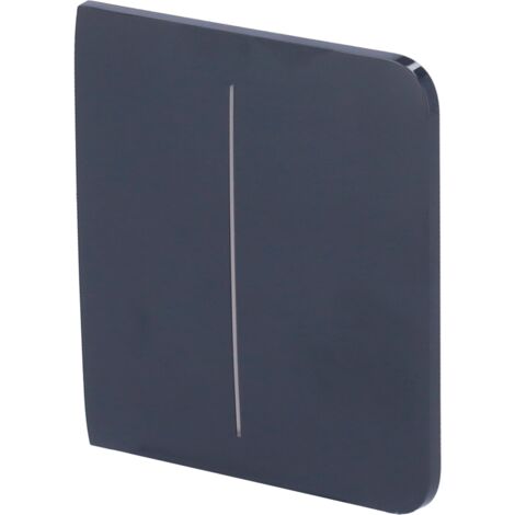 Panneau tactile pour double interrupteur d'éclairage - Compatible avec AJ-LIGHTCORE-2G - Rétro-éclairage LED - Panneau tactile latéral sans contact - Couleur graphite - Ajax - LightSwitch SideButton