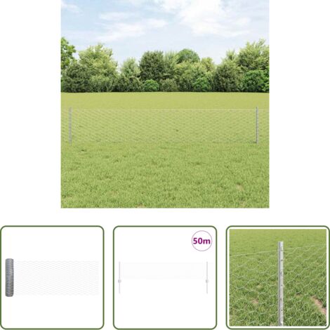 Pannelli di recinzione -  Recinzione con Posto Argento 0,4 x 50 m Acciaio