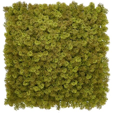 Pannelli murali di siepe artificiale - Pannello di muschio verde militare - 100x100 cm