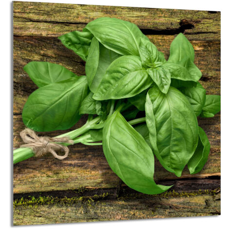 PANNELLO IN VETRO PER CUCINA 60x65 Basilico