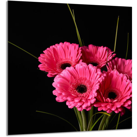 PANNELLO IN VETRO PER CUCINA 60x65 Gerbera