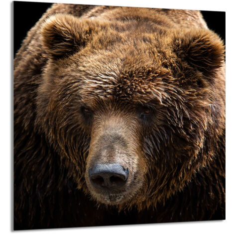 PANNELLO IN VETRO PER CUCINA 60x65 Teddy Bear