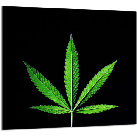 PANNELLO IN VETRO PER CUCINA 65x60 Leaf