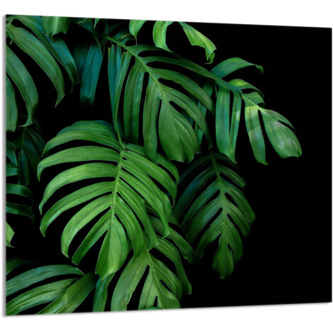 PANNELLO IN VETRO PER CUCINA 65x60 Monstera
