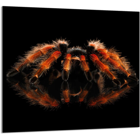 PANNELLO IN VETRO PER CUCINA 65x60 Spider
