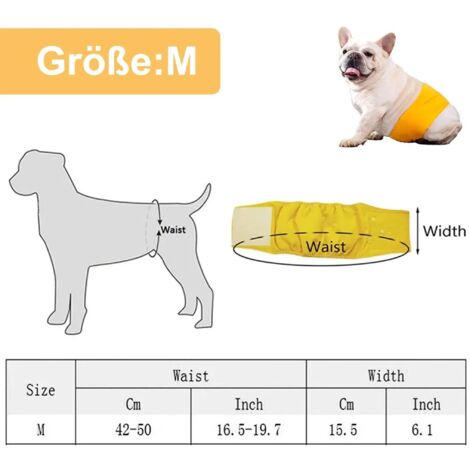 Pannolini per cani, confezione da 3, mutandine igieniche per animali domestici, unisex, ecocompatibili, taglia M