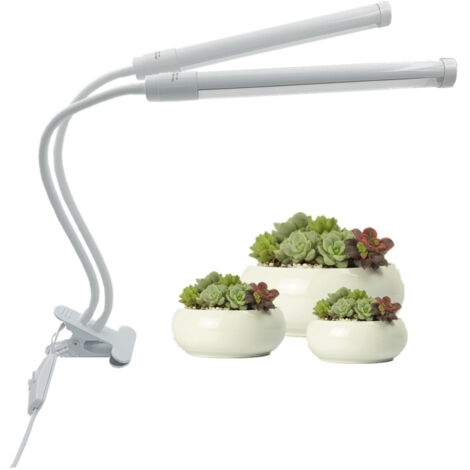 Pantalla completa LED Luces botánicas LED Flor botánica Flor botánica Luces de interior Luces botánicas