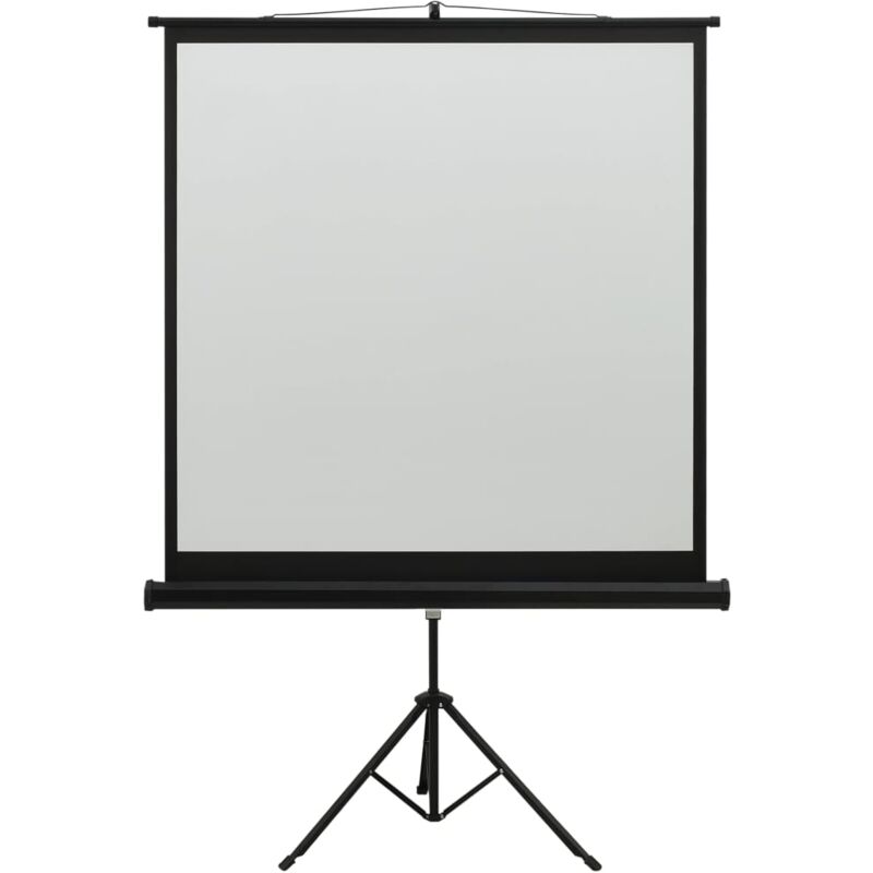 

vidaXL Pantalla de proyección con soporte 48' 1:1 - Blanco
