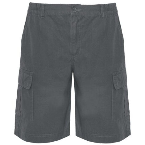 Pantalón corto con bolsillos, de cintura elástica ajustable ARMOUR ROLY BE6725 S Plomo
