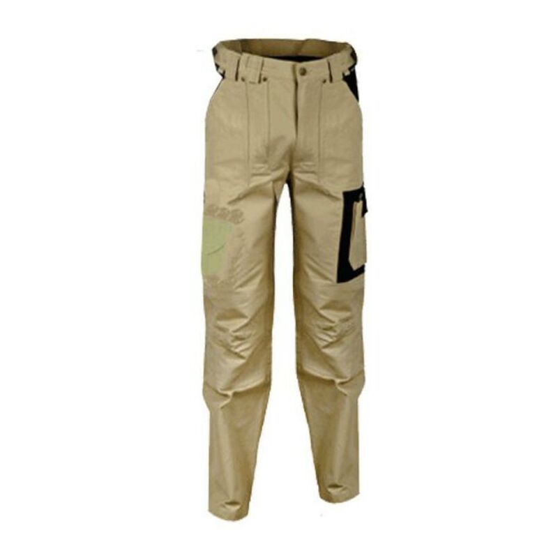 

ropa pantalon algodon dublin beige t50-v052 - Mibricotienda